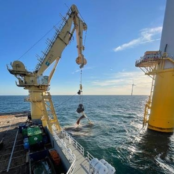 Offshore Wind Response